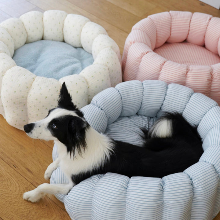 ※予約販売【azalea】Canele Cushion（New Stripe Blue）