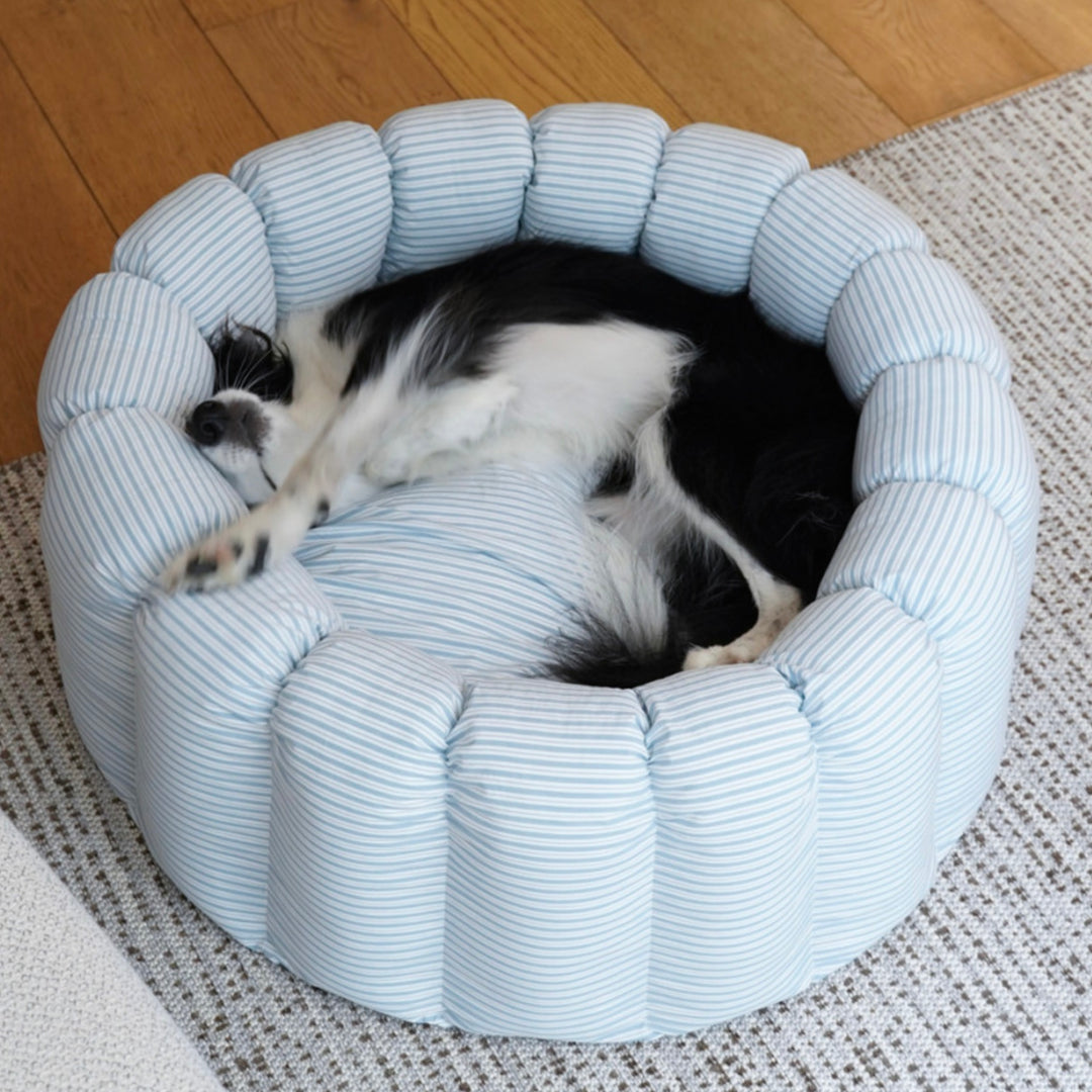 ※予約販売【azalea】Canele Cushion（New Stripe Blue）