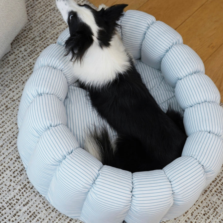※予約販売【azalea】Canele Cushion（New Stripe Blue）