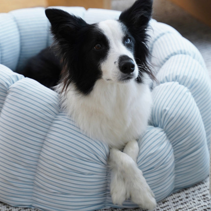 ※予約販売【azalea】Canele Cushion（New Stripe Blue）