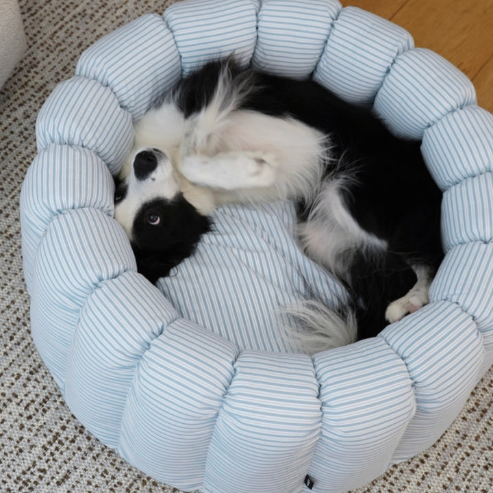 ※予約販売【azalea】Canele Cushion（New Stripe Blue）