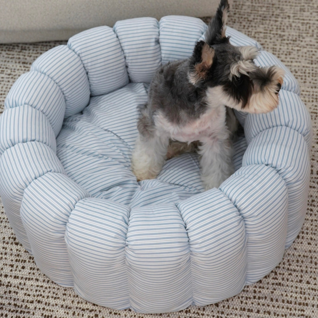※予約販売【azalea】Canele Cushion（New Stripe Blue）
