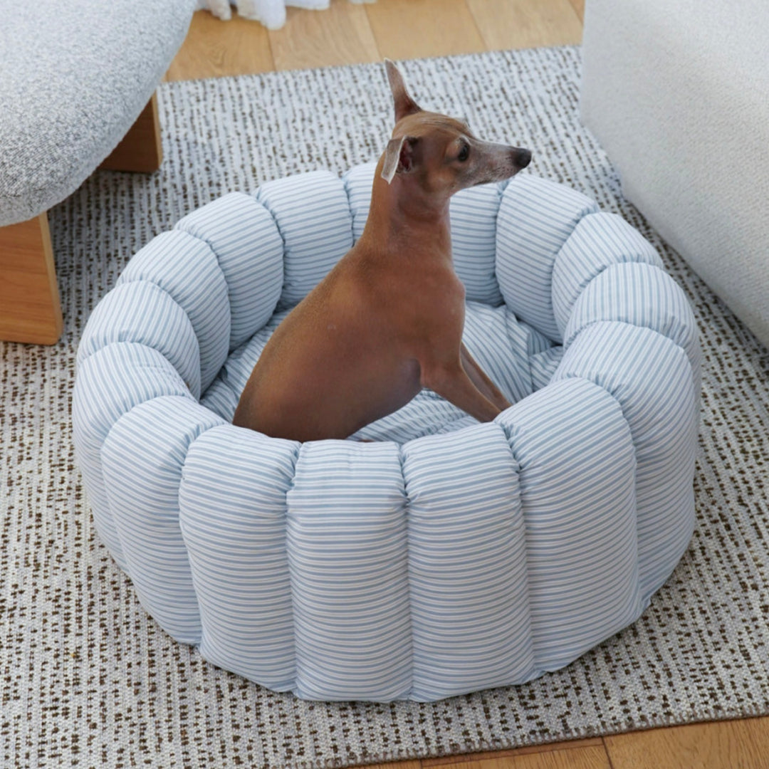 ※予約販売【azalea】Canele Cushion（New Stripe Blue）