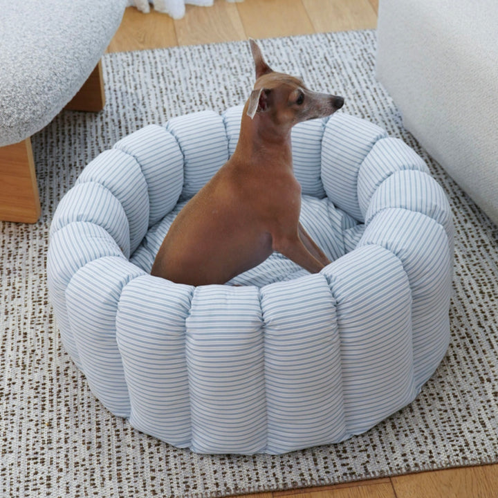 ※予約販売【azalea】Canele Cushion（New Stripe Blue）