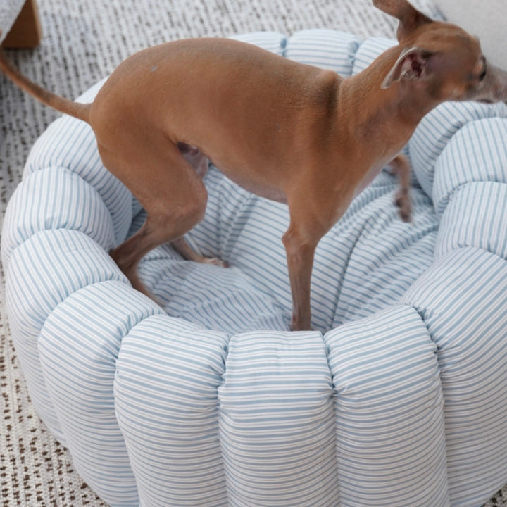 ※予約販売【azalea】Canele Cushion（New Stripe Blue）