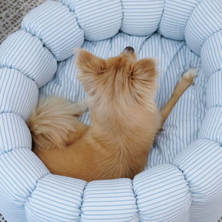 ※予約販売【azalea】Canele Cushion（New Stripe Blue）