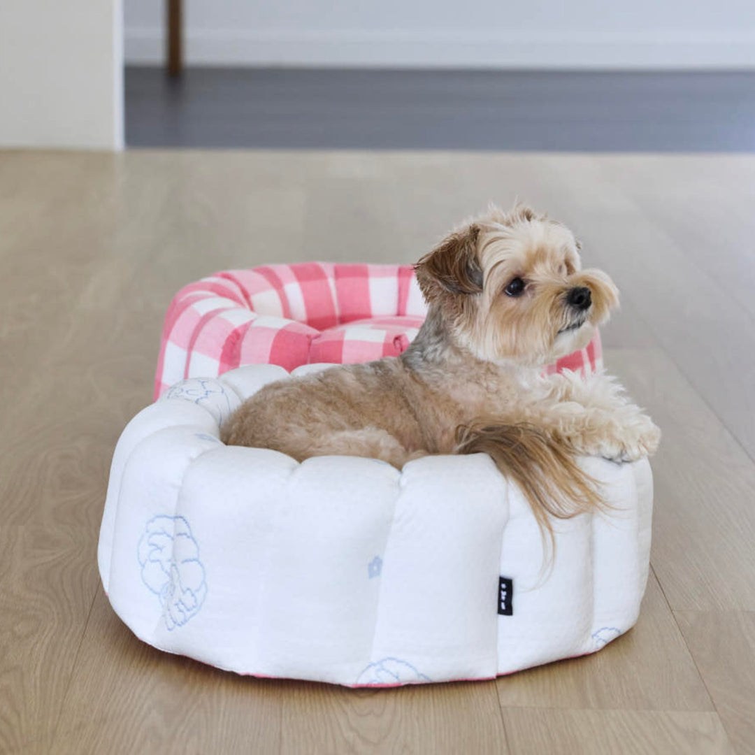 ※予約販売【azalea】Canele Cushion（New Igloo / Duraron）