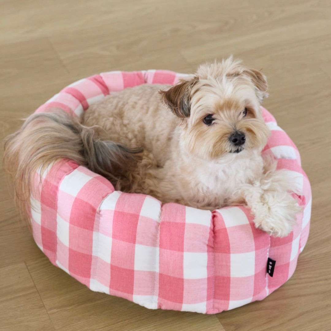 ※予約販売【azalea】Canele Cushion（New Igloo / Duraron）