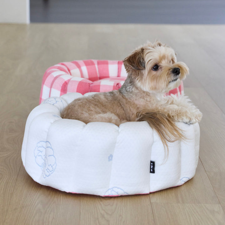 ※予約販売【azalea】Canele Cushion（New Igloo / Duraron）