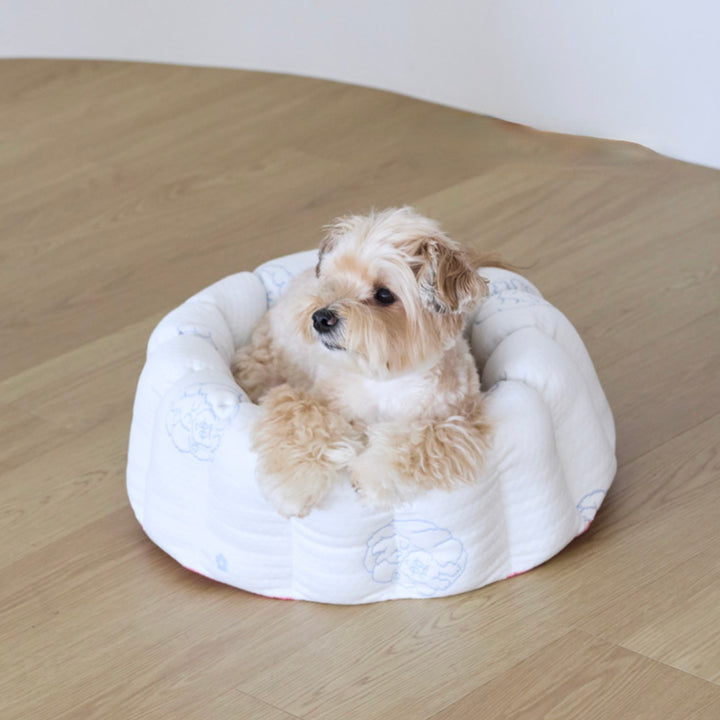 ※予約販売【azalea】Canele Cushion（New Igloo / Duraron）