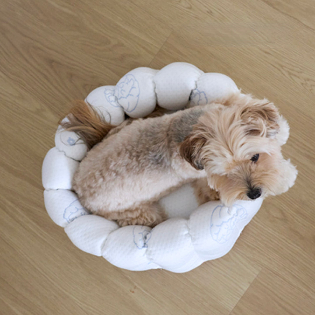 ※予約販売【azalea】Canele Cushion（New Igloo / Duraron）