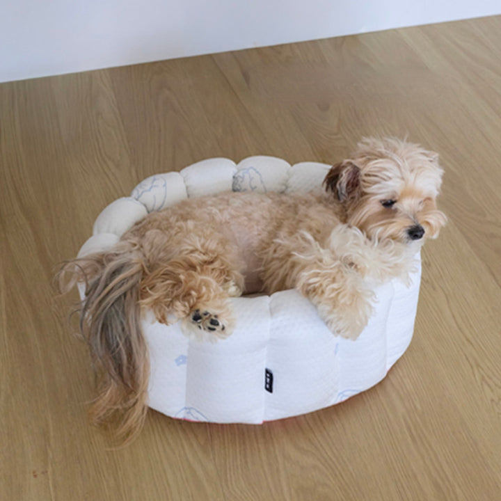 ※予約販売【azalea】Canele Cushion（New Igloo / Duraron）