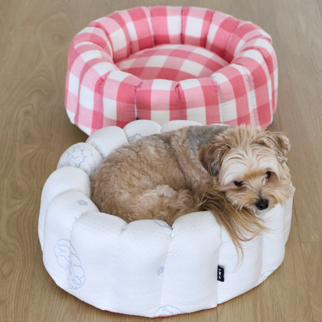 ※予約販売【azalea】Canele Cushion（New Igloo / Duraron）