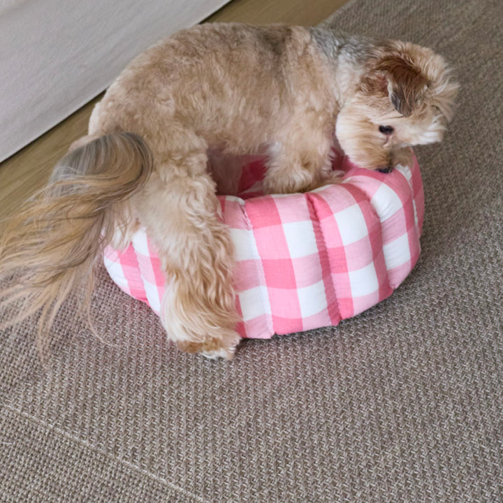 ※予約販売【azalea】Canele Cushion（New Igloo / Duraron）