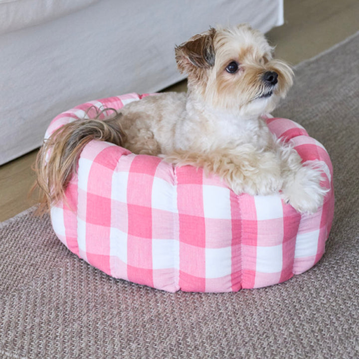 ※予約販売【azalea】Canele Cushion（New Igloo / Duraron）