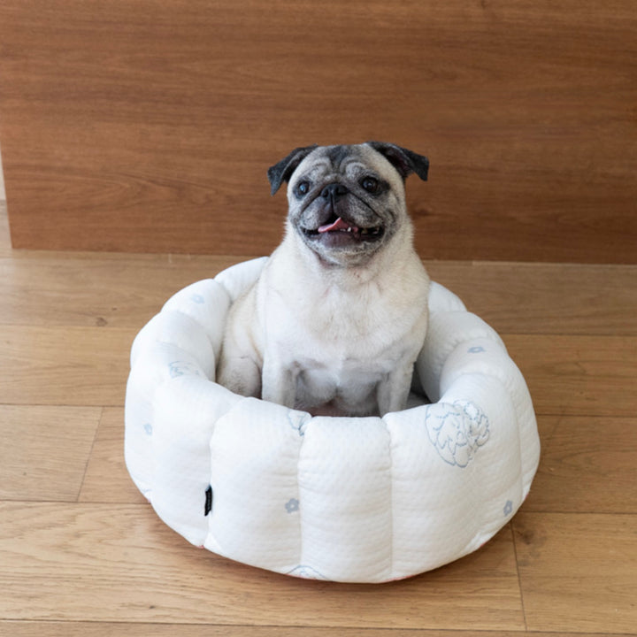 ※予約販売【azalea】Canele Cushion（New Igloo / Duraron）