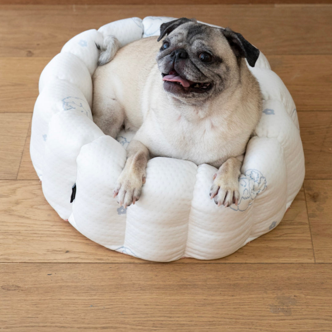 ※予約販売【azalea】Canele Cushion（New Igloo / Duraron）