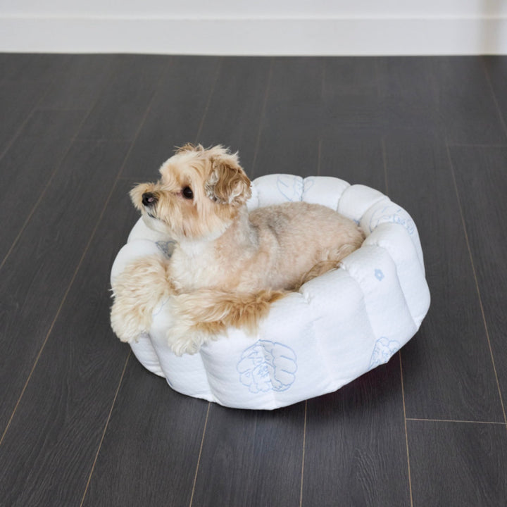 ※予約販売【azalea】Canele Cushion（New Igloo / Duraron）