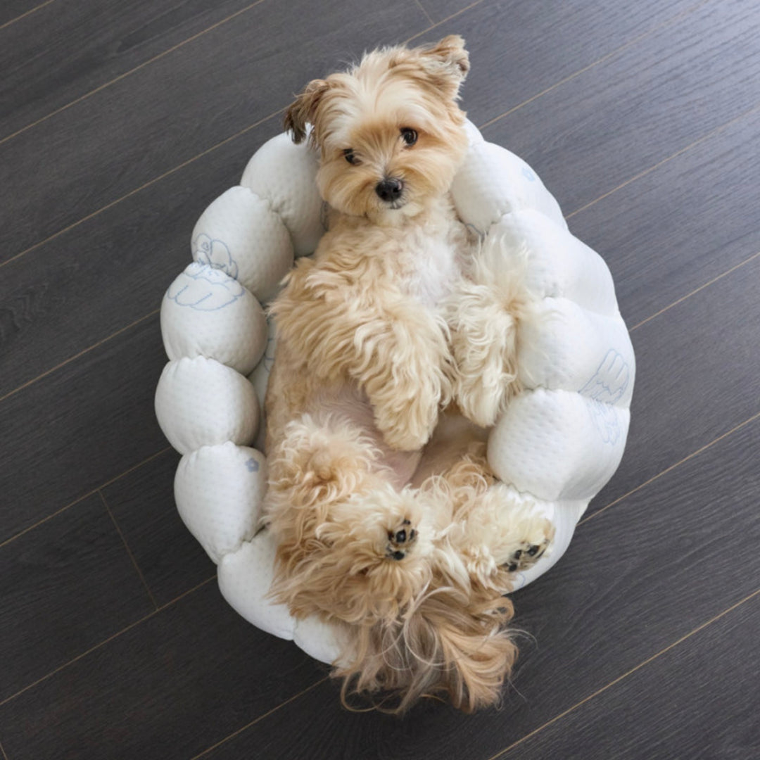 ※予約販売【azalea】Canele Cushion（New Igloo / Duraron）