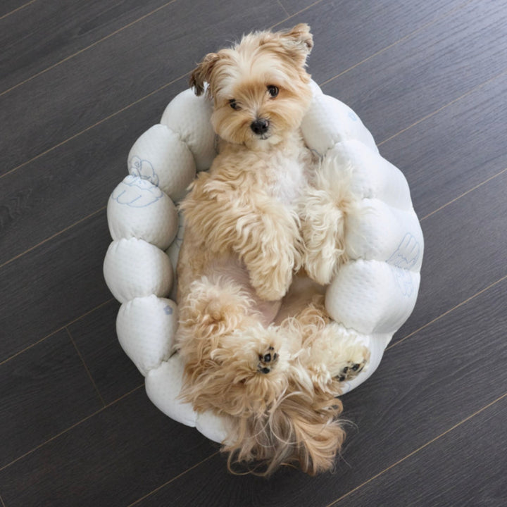 ※予約販売【azalea】Canele Cushion（New Igloo / Duraron）