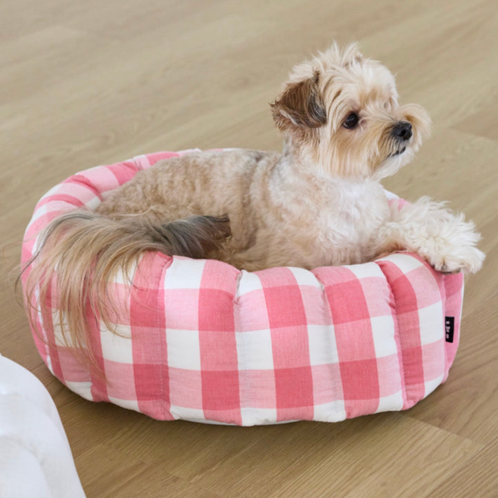 ※予約販売【azalea】Canele Cushion（New Igloo / Duraron）