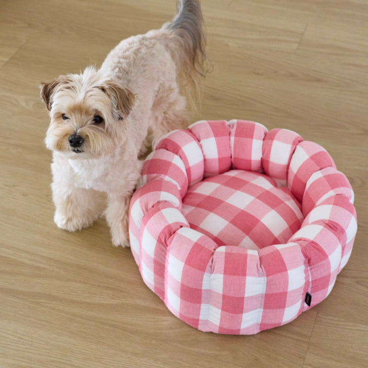 ※予約販売【azalea】Canele Cushion（New Igloo / Duraron）