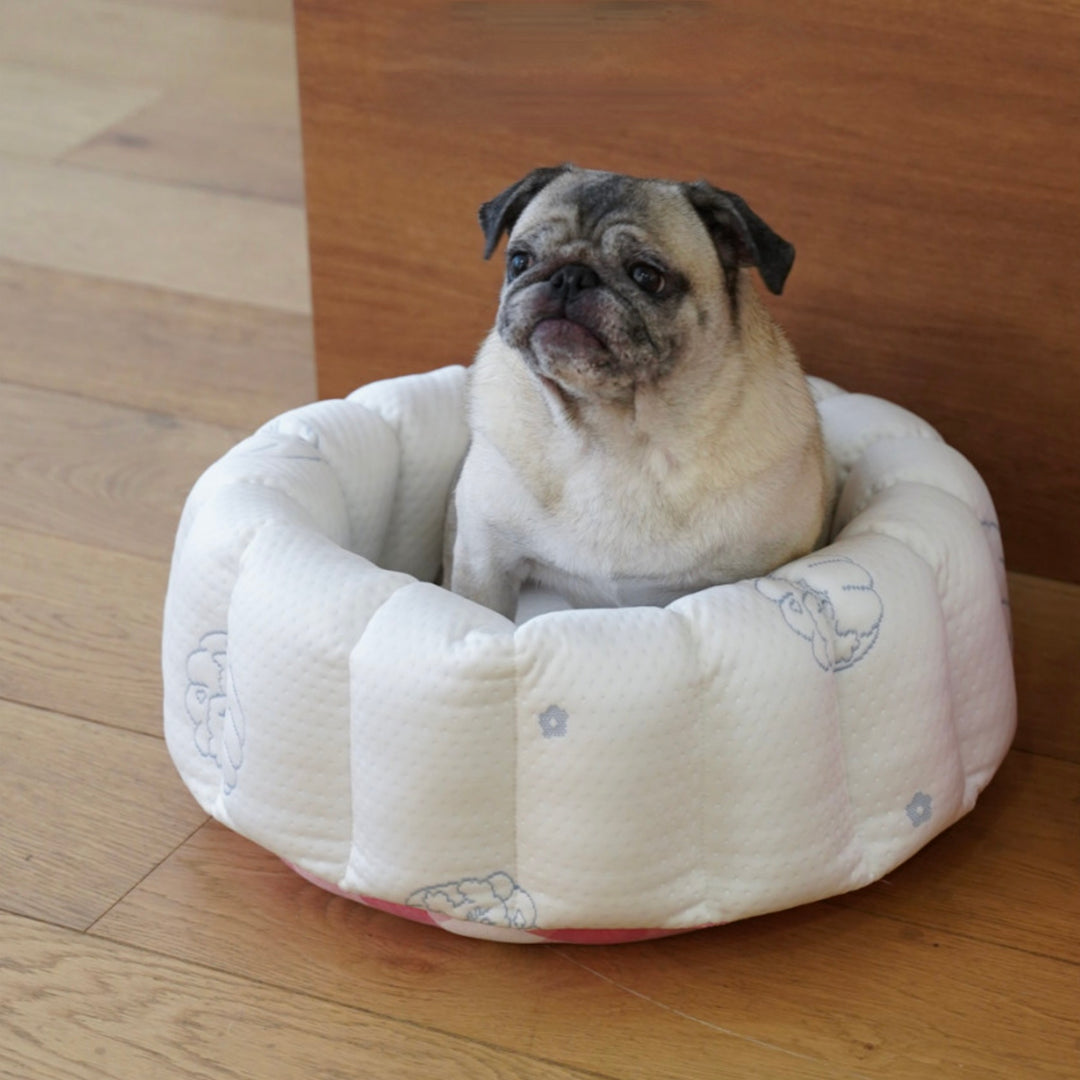 ※予約販売【azalea】Canele Cushion（New Igloo / Duraron）