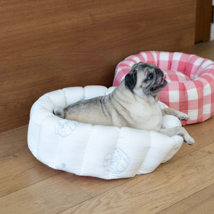 ※予約販売【azalea】Canele Cushion（New Igloo / Duraron）