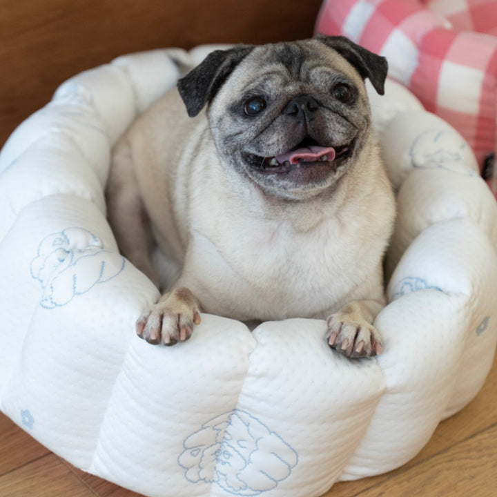 ※予約販売【azalea】Canele Cushion（New Igloo / Duraron）