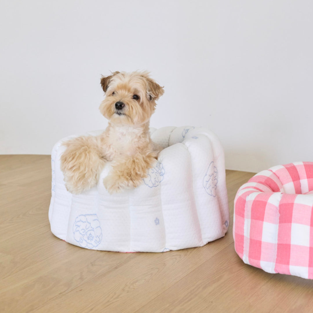 ※予約販売【azalea】Canele Cushion（New Igloo / Duraron）
