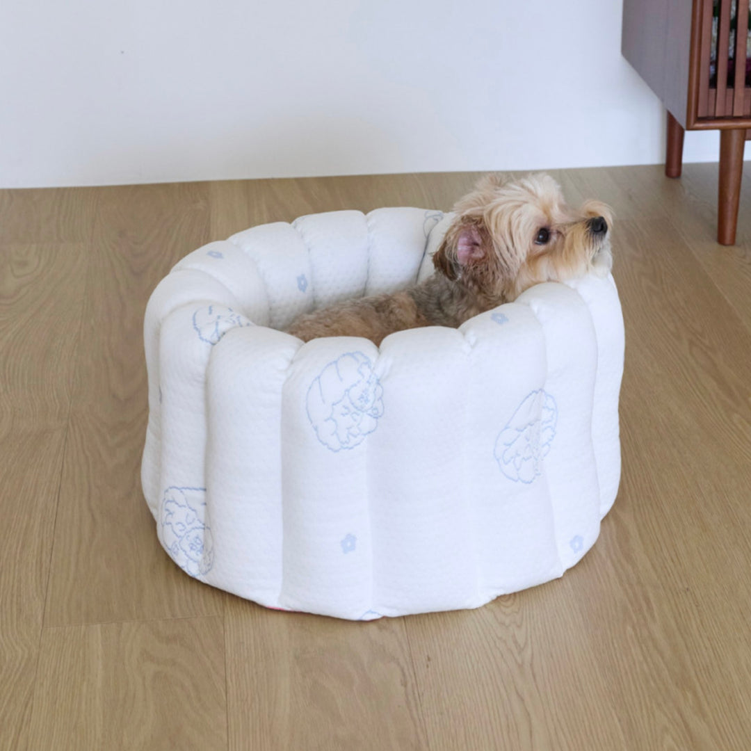 ※予約販売【azalea】Canele Cushion（New Igloo / Duraron）