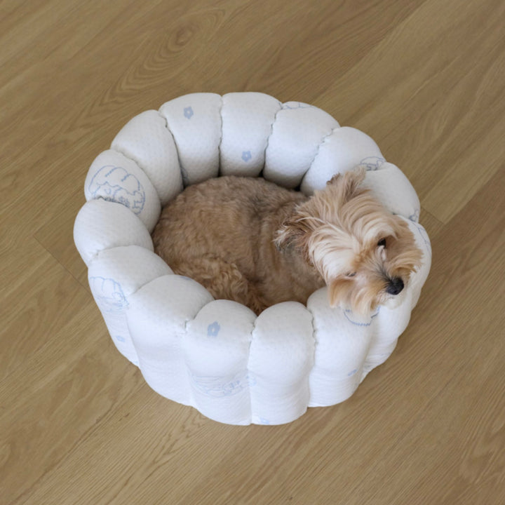※予約販売【azalea】Canele Cushion（New Igloo / Duraron）