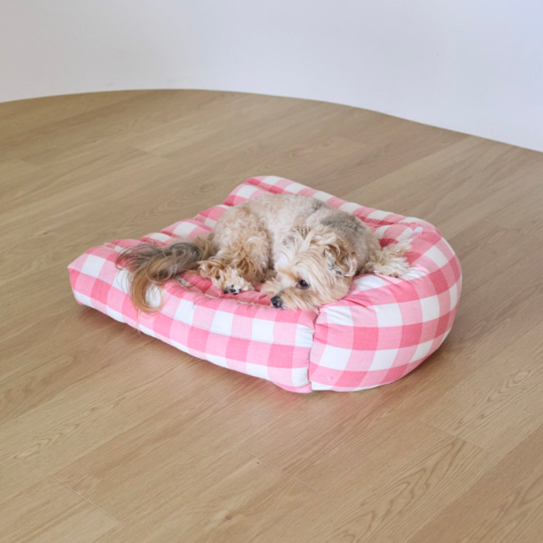 ※予約販売【azalea】Canele Cushion（New Igloo / Duraron）