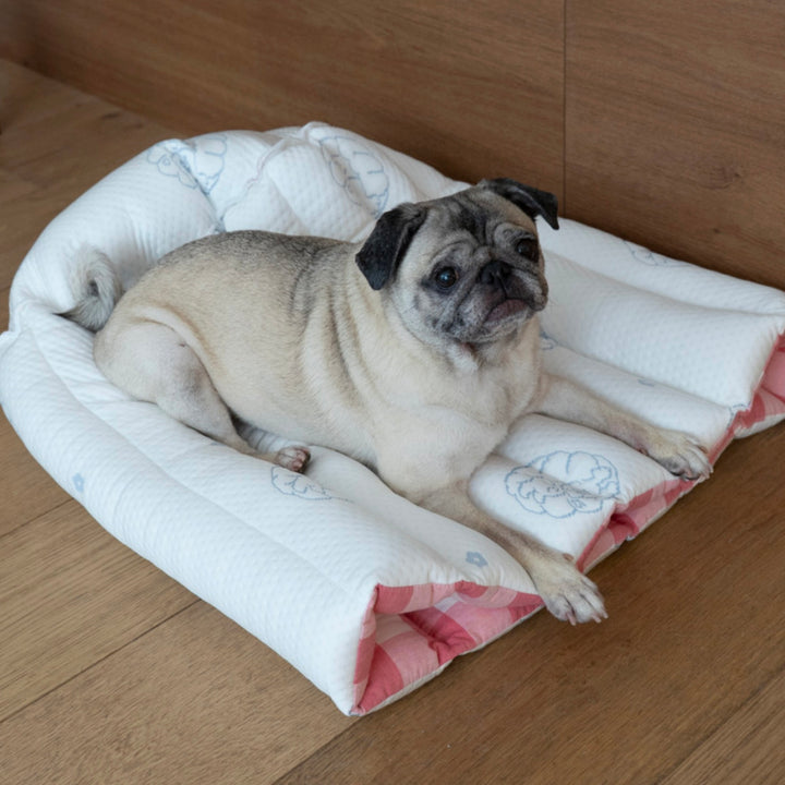 ※予約販売【azalea】Canele Cushion（New Igloo / Duraron）