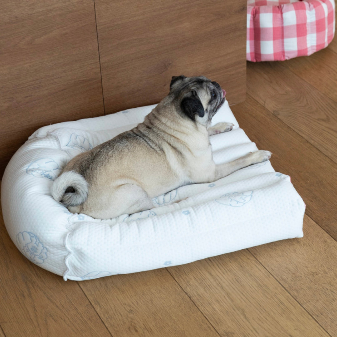※予約販売【azalea】Canele Cushion（New Igloo / Duraron）