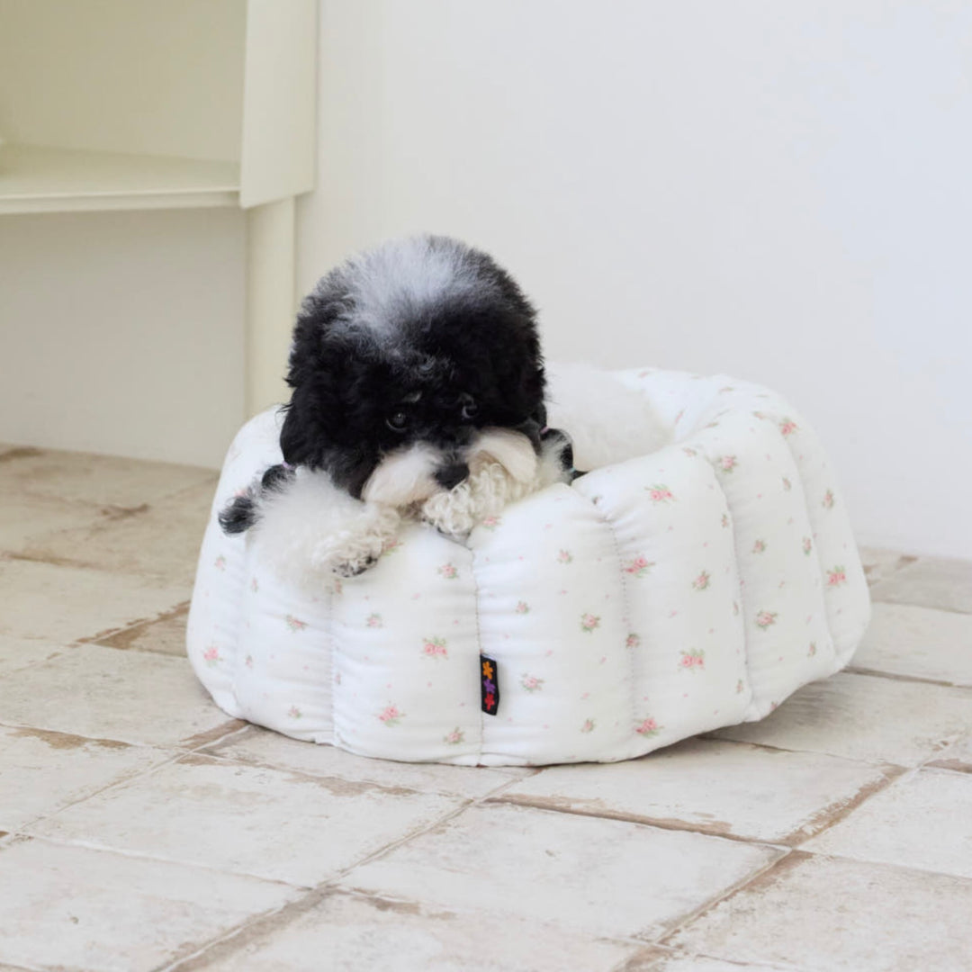 ※予約販売【azalea】Canele Cushion（Blossom）