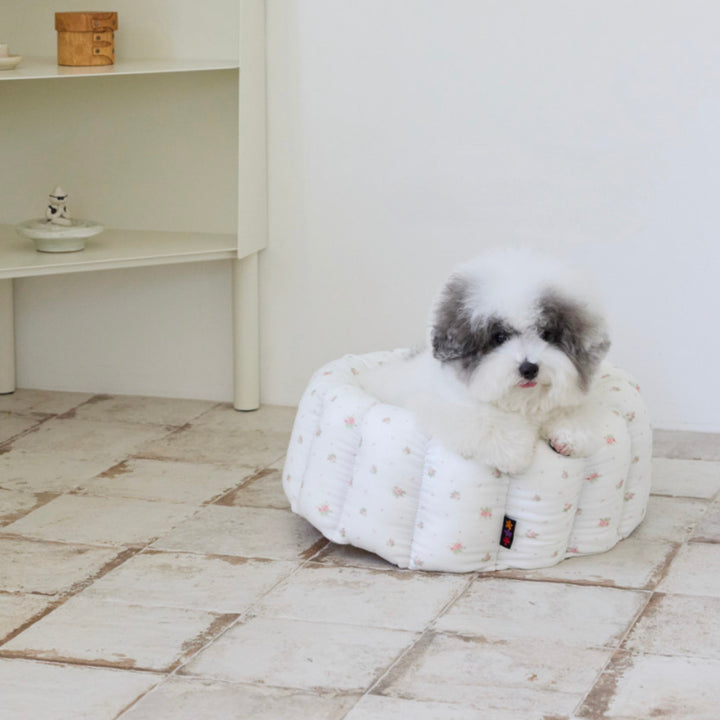 ※予約販売【azalea】Canele Cushion（Blossom）