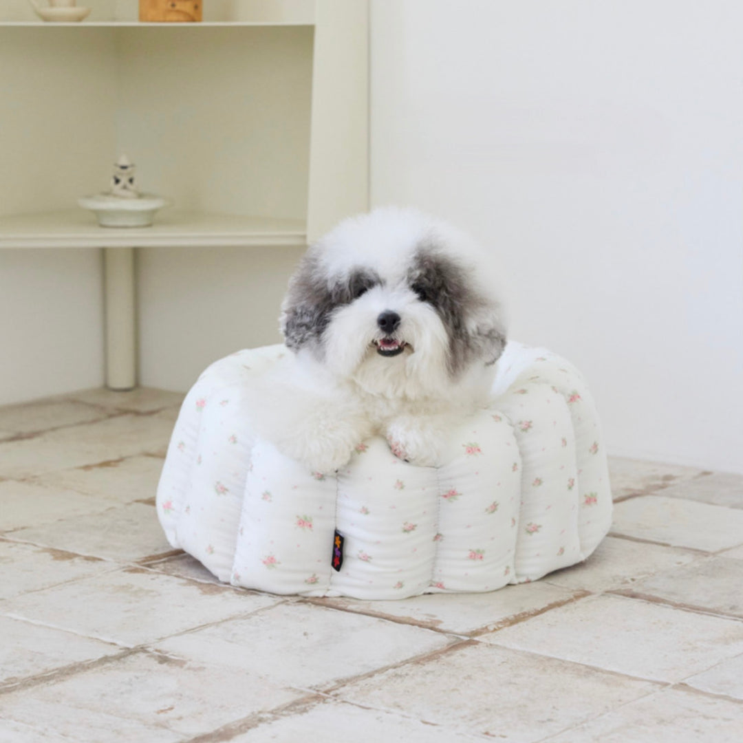 ※予約販売【azalea】Canele Cushion（Blossom）