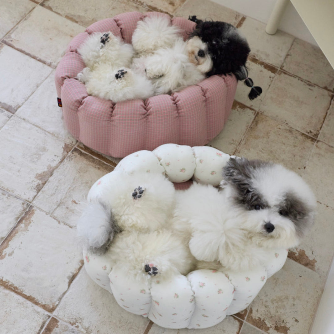 ※予約販売【azalea】Canele Cushion（Blossom）