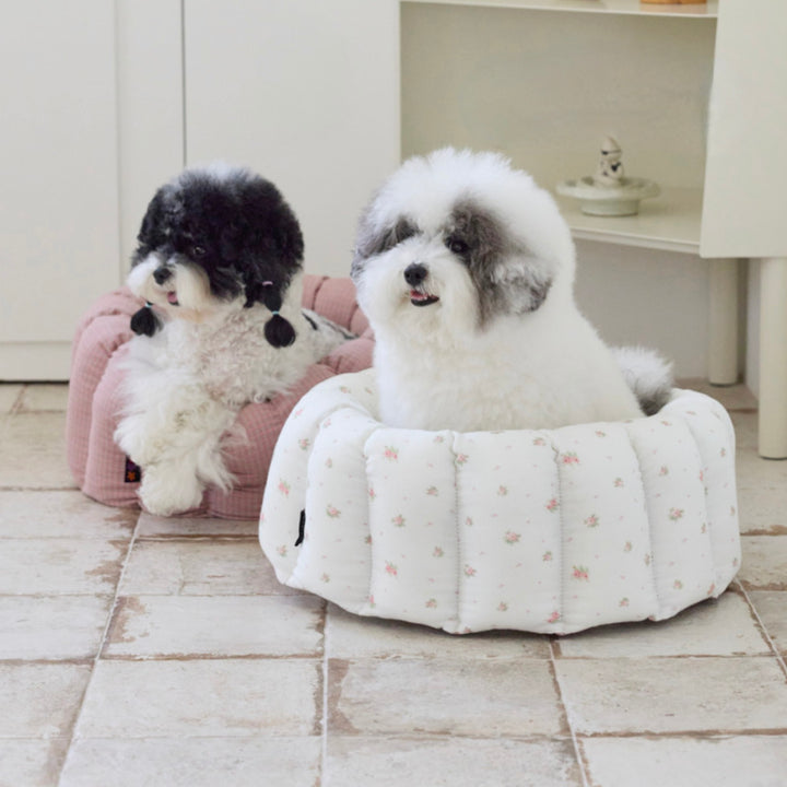 ※予約販売【azalea】Canele Cushion（Blossom）
