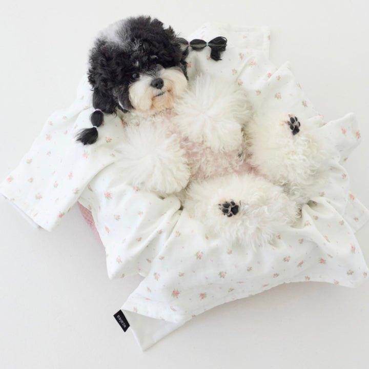 ※予約販売【azalea】Canele Cushion（Blossom）