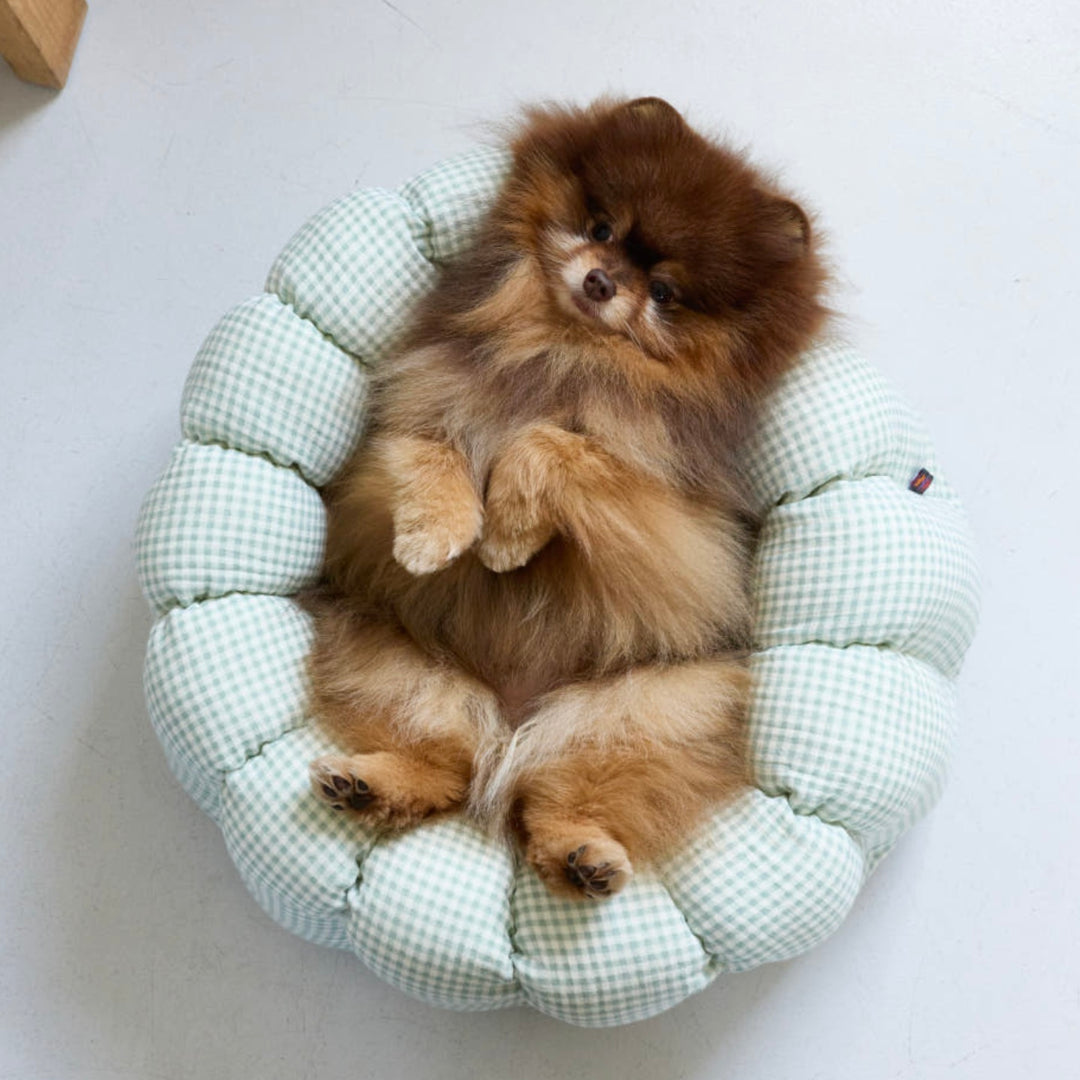 ※予約販売【azalea】Canele Cushion（Check Mint）
