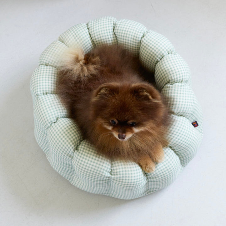 ※予約販売【azalea】Canele Cushion（Check Mint）