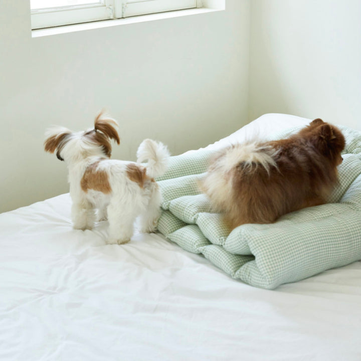 ※予約販売【azalea】Canele Cushion（Check Mint）