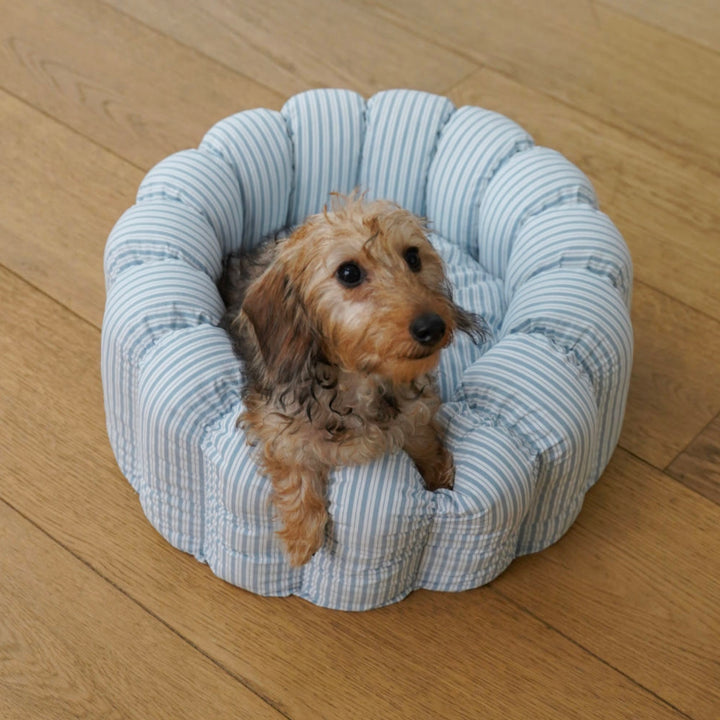 ※予約販売【azalea】Canele Cushion（New Stripe Blue）