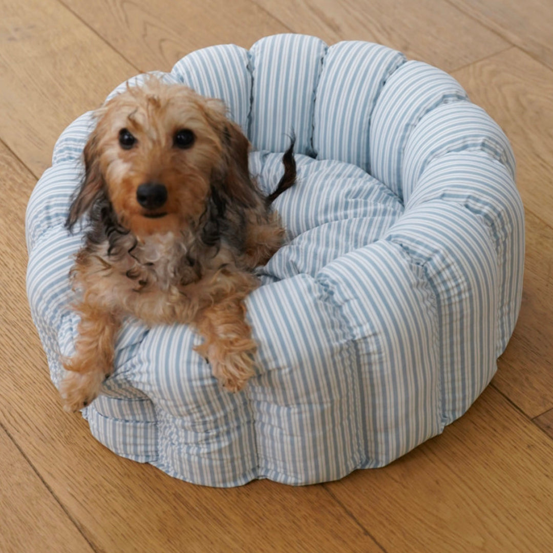 ※予約販売【azalea】Canele Cushion（New Stripe Blue）