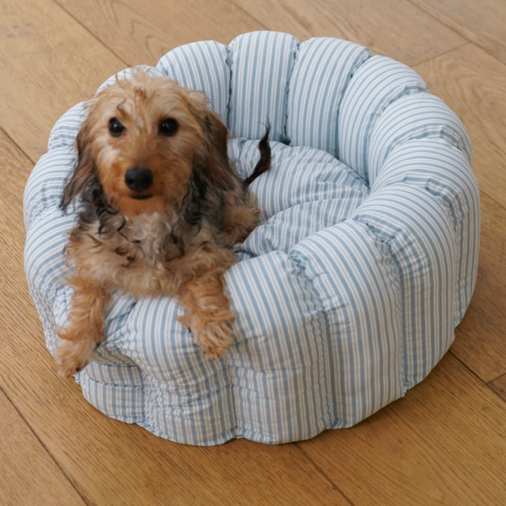 ※予約販売【azalea】Canele Cushion（New Stripe Blue）