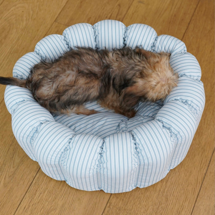 ※予約販売【azalea】Canele Cushion（New Stripe Blue）