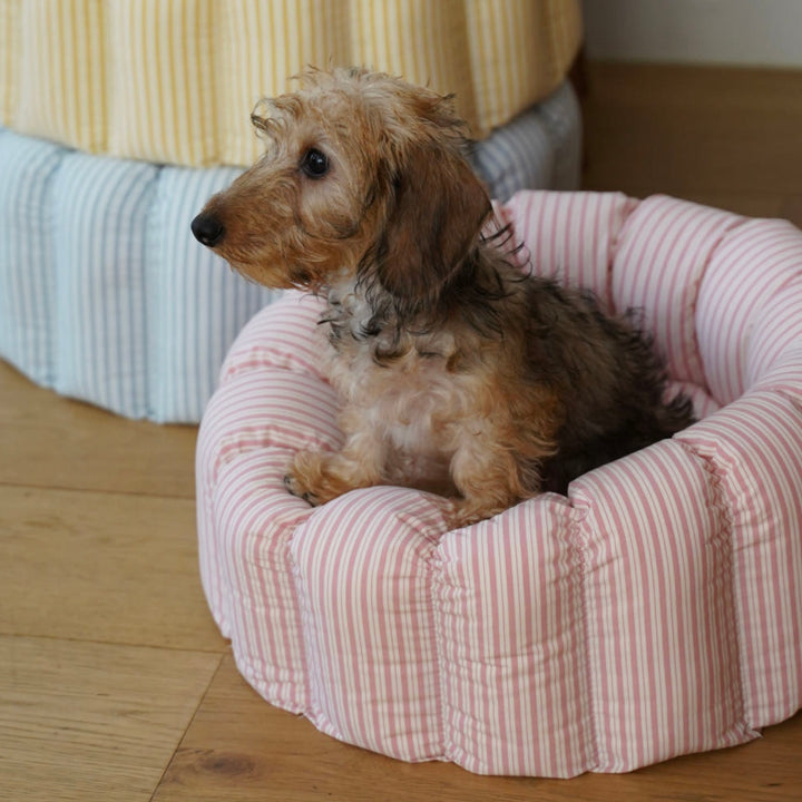 ※予約販売【azalea】Canele Cushion（New Stripe Pink）