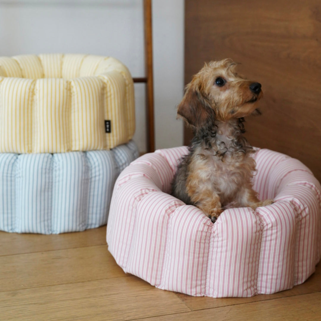 ※予約販売【azalea】Canele Cushion（New Stripe Pink）